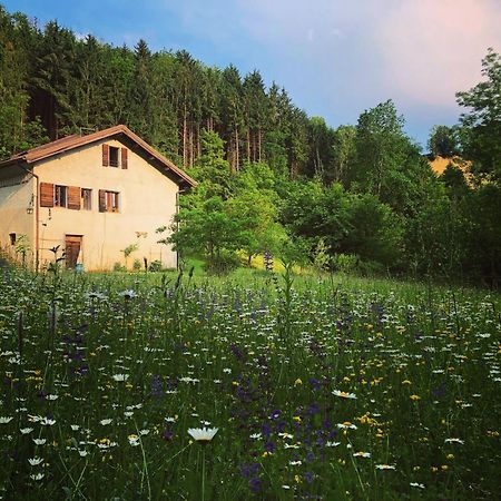 Alla Casetta B&B Cesiomaggiore Buitenkant foto