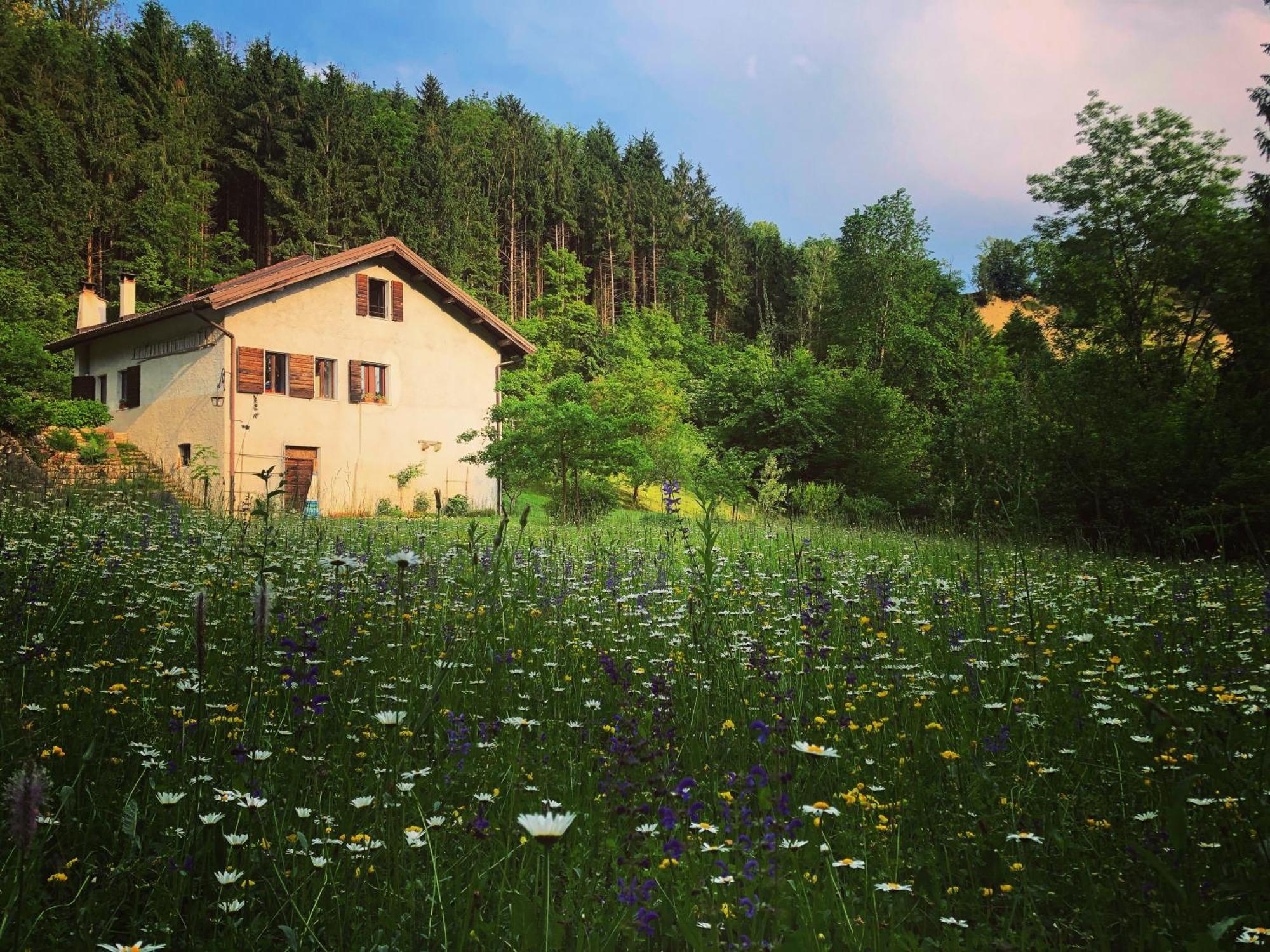 Alla Casetta B&B Cesiomaggiore Buitenkant foto
