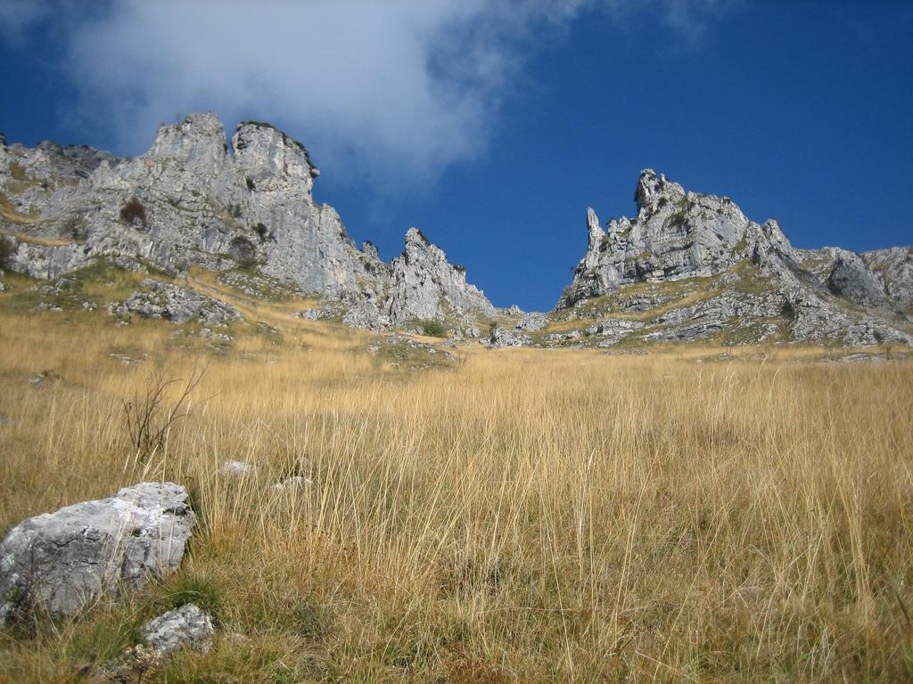 Alla Casetta B&B Cesiomaggiore Buitenkant foto